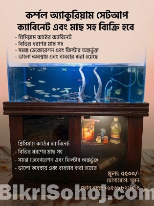 অ্যাকুরিয়ামের